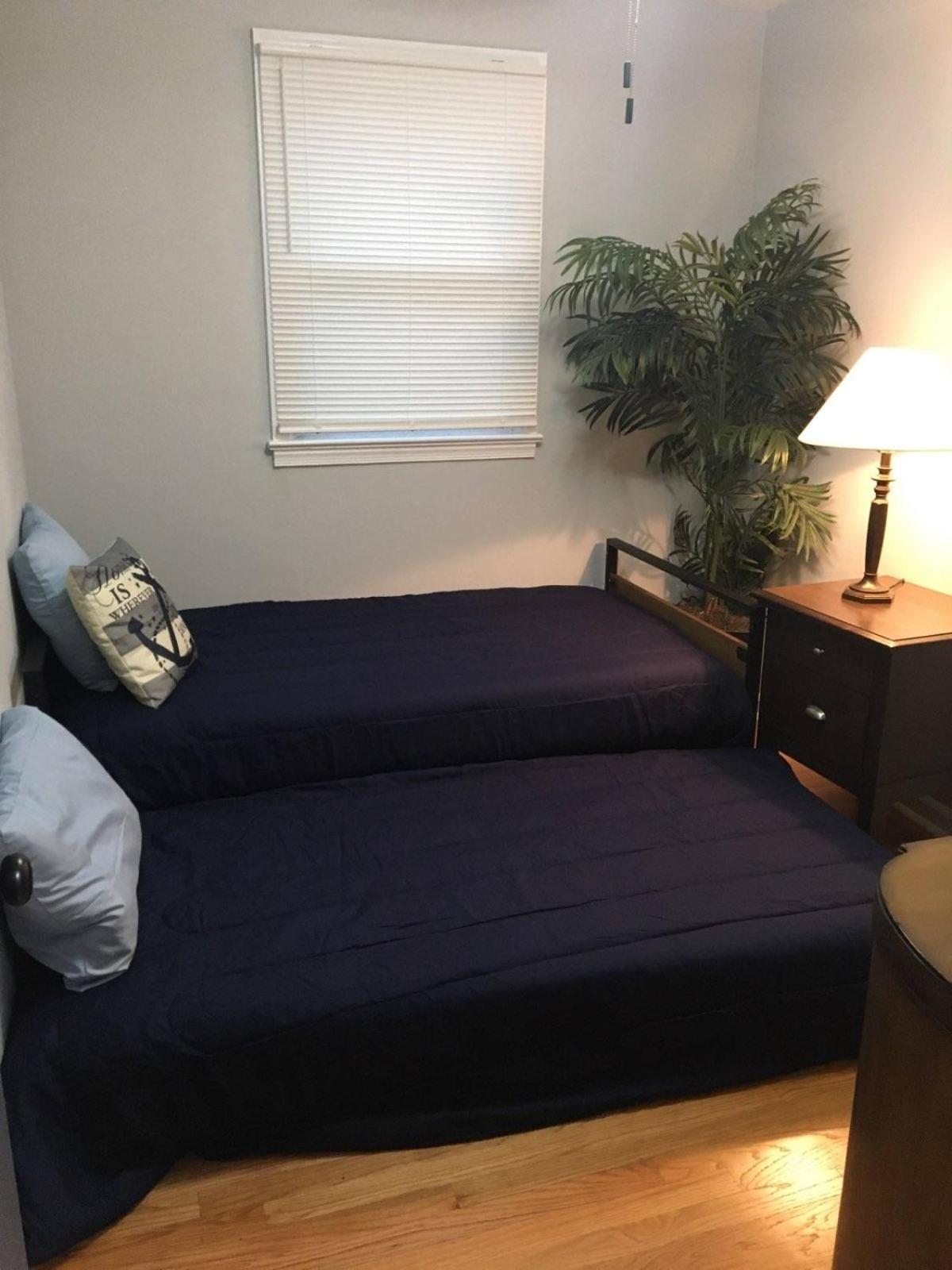 Fantastic 3Br Close To Botanical Gardens And Airport نورفولك المظهر الخارجي الصورة