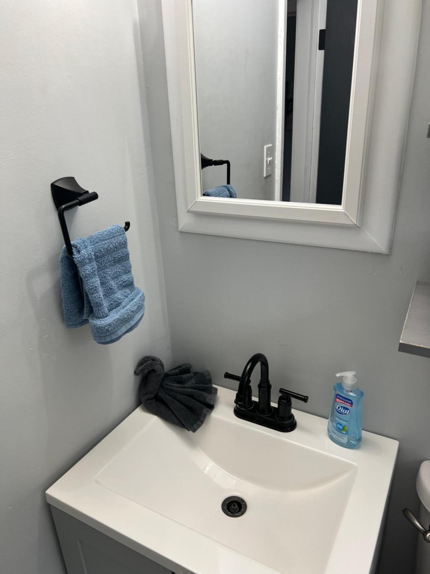 Fantastic 3Br Close To Botanical Gardens And Airport نورفولك المظهر الخارجي الصورة